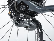 AUTHOR Pegas 29 2023-24 17