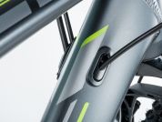 AUTHOR Pegas 29 2023-24 17