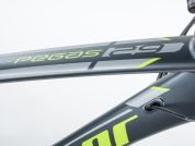 AUTHOR Pegas 29 2023-24 17