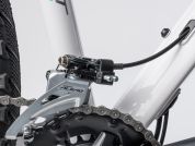 AUTHOR Spirit 29 ASL 2023-24 18