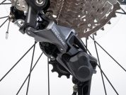 AUTHOR Modus 29 2023-24 21