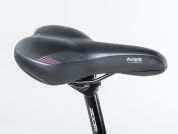 AUTHOR Horizon ASL 2023-24 15