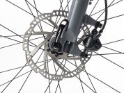 AUTHOR Codex 2023-24 16