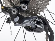 AUTHOR Codex ASL 2023-24 17