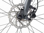 AUTHOR Codex ASL 2023-24 17