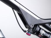 AUTHOR A-Ray 29 Team 2023-24 19