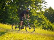 AUTHOR A-Ray 29 Team 2023-24 19