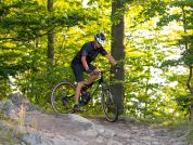 AUTHOR A-Ray 29 Team 2023-24 19