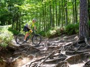 AUTHOR A-Ray 29 Team 2023-24 21 AUTHOR A-Ray 29 Team 2023-24 21