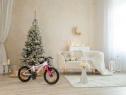 AUTHOR Record 16 2025 9