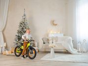 AUTHOR Record 16 2025 9