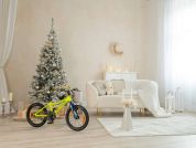 AUTHOR Record 16 2025 9