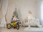 AUTHOR Record 16 2025 9