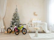 AUTHOR Record 16 2025 9