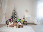 AUTHOR Record 20 2025 10