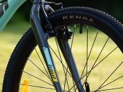 AUTHOR Limit 24 2025 12,5