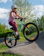 AUTHOR Limit 24 2025 12,5