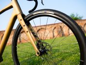 AUTHOR Guru 2.0 2025 54 zlatá-matná/černá Gravel kolo