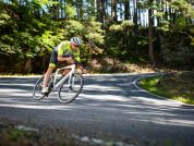 AUTHOR Charisma 66i 2025-26 50 bílá/stříbrná silniční kolo