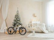 AUTHOR Record 20 2026 10