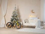 AUTHOR Record 20 2026 10