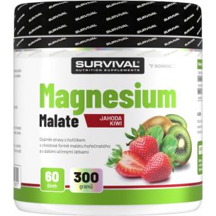 Magnesium Malate - 300 g, jahoda-kiwi Magnesium Malate - 300 g, jahoda-kiwi