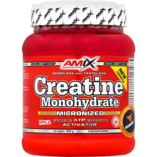 Creatine Monohydrate Powder - 500 g