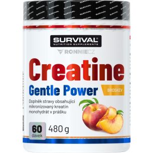 Creatine Monohydrate Gentle Power - 480 g, limeta-jahoda Creatine Monohydrate Gentle Power - 480 g, limeta-jahoda
