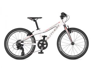 AUTHOR Record 20 2025 10