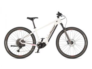 AUTHOR Elevation 29 ASL 2025-26 19