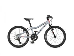 AUTHOR Cosmic 20 2026 10