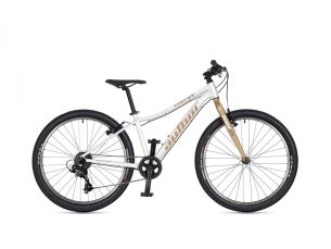 AUTHOR Limit 24 2026 12,5