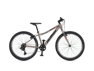 AUTHOR Limit 24 2026 12,5