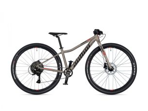 AUTHOR Limit 29 2026 16 AUTHOR Limit 29 2026 16