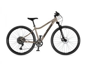 AUTHOR Codex ASL 2026 19